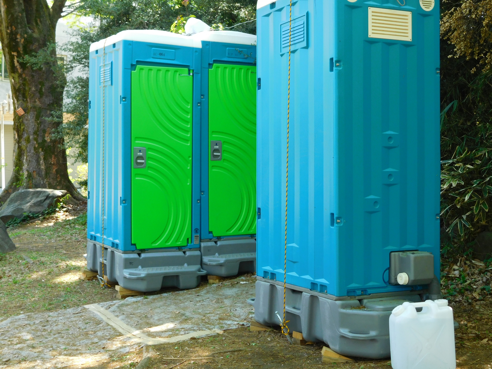 コンテンツ画像